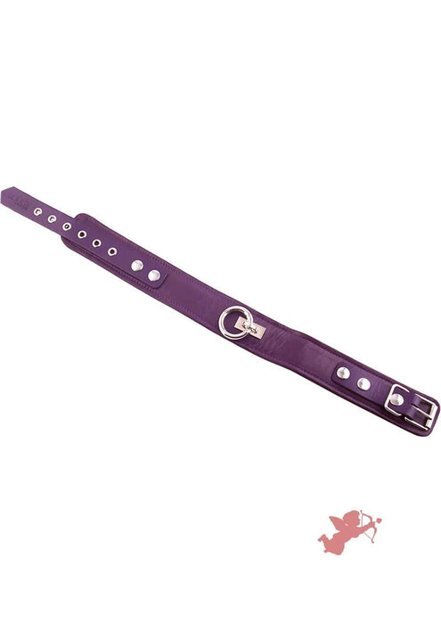 Rouge Plain Leather Adjustable Collar 1 Ring - Purple