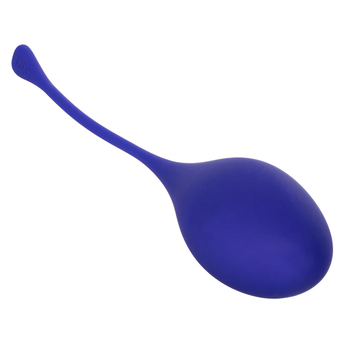 Kegel Training (5 piece) Set - Assorted Colors