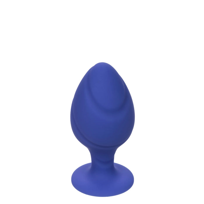 Cheeky - Purple Small and Large Plug Kit