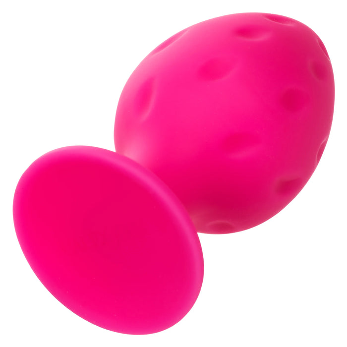 Cheeky- Pink Small and Large Plug Kit