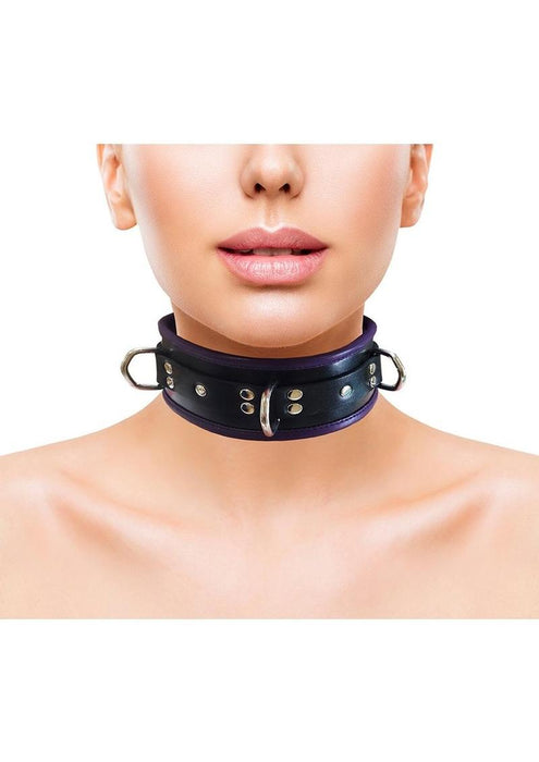 3 D-Ring Padded Leather Adjustable Collar - Black/Purple