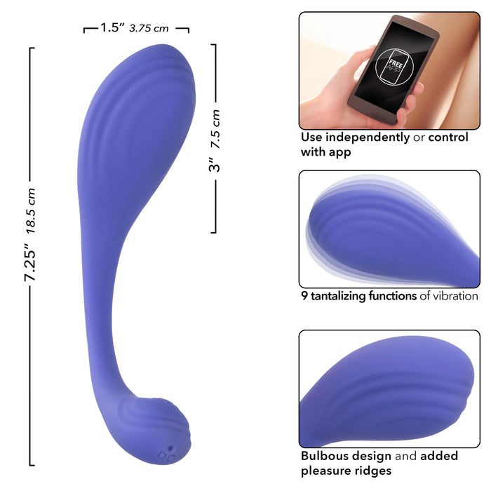 CalExotics Connect Kegel Exerciser Rechargeable Silicone App Compatible Stimulator with Remote - Purple