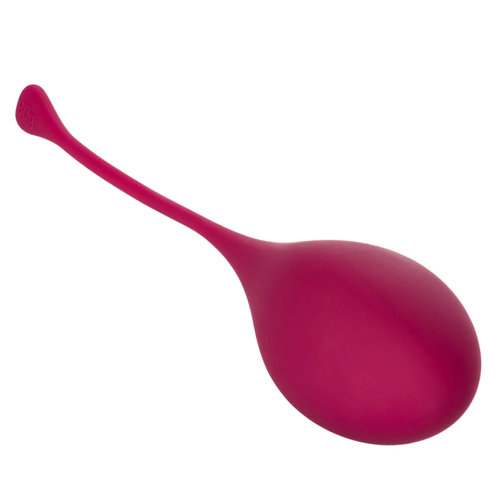 Kegel Training (5 piece) Set - Assorted Colors