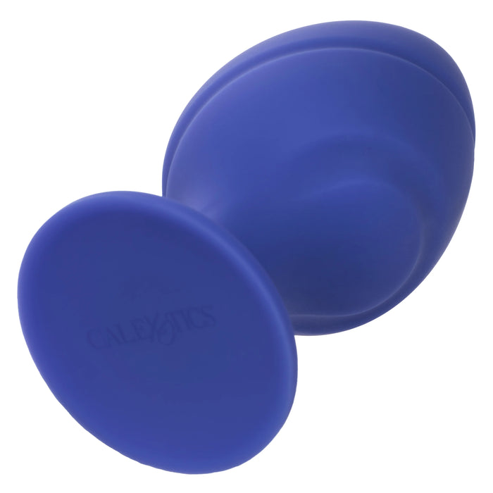 Cheeky - Purple Small and Large Plug Kit