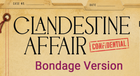 Clandestine Affairs Bondage Mystery Box