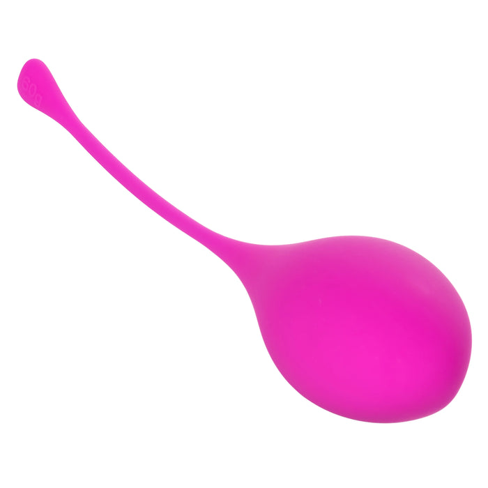 Kegel Training (5 piece) Set - Assorted Colors