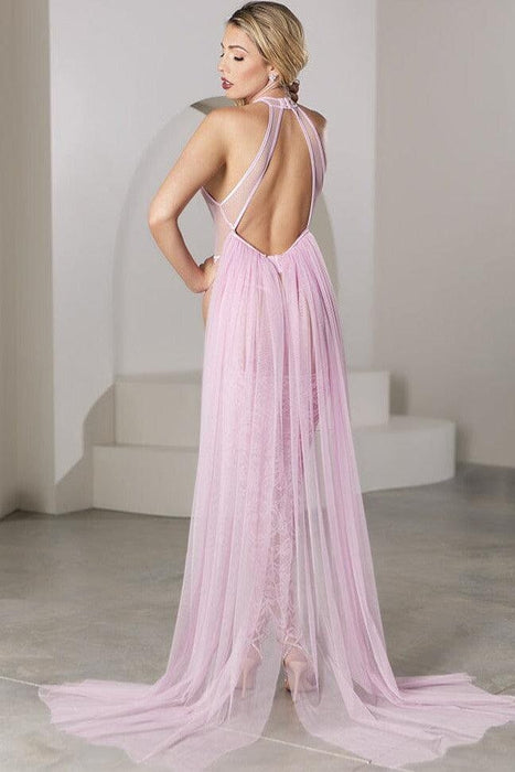 11-8501P Private Dancer Teddy & Skirt