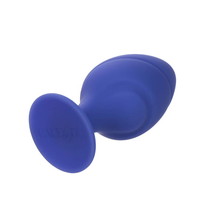 Cheeky - Purple Small and Large Plug Kit