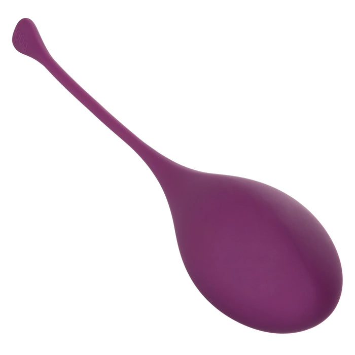 Kegel Training (5 piece) Set - Assorted Colors