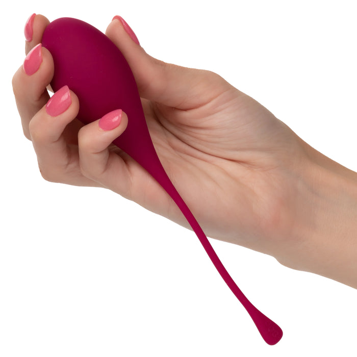 Kegel Training (5 piece) Set - Assorted Colors