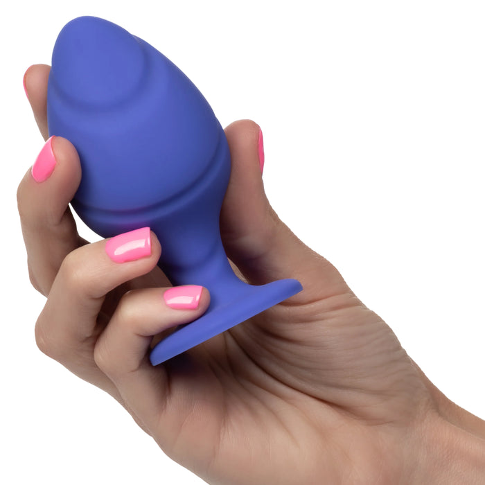 Cheeky - Purple Small and Large Plug Kit